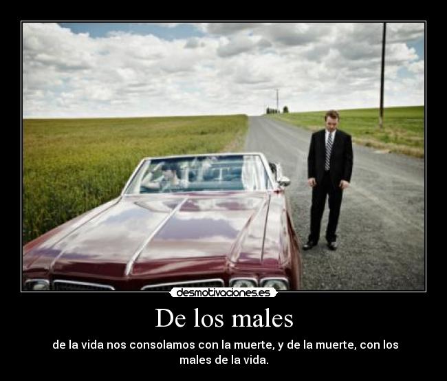 carteles males vida amor desmotivaciones