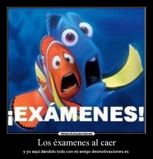 Los éxamenes al caer - y yo aquí dándolo todo con mi amigo desmotivaciones.es 