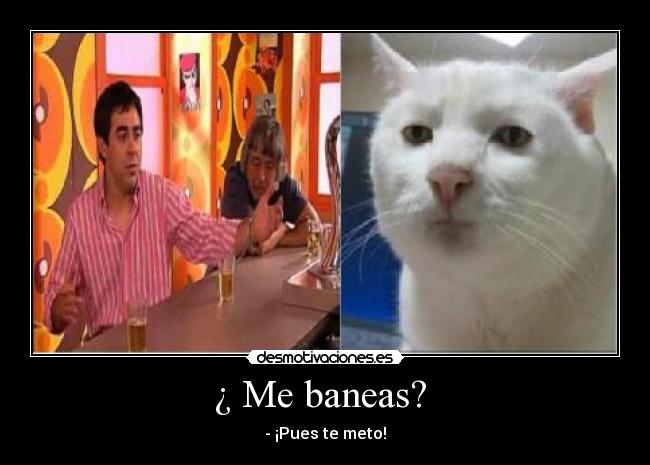 ¿ Me baneas? - - ¡Pues te meto!