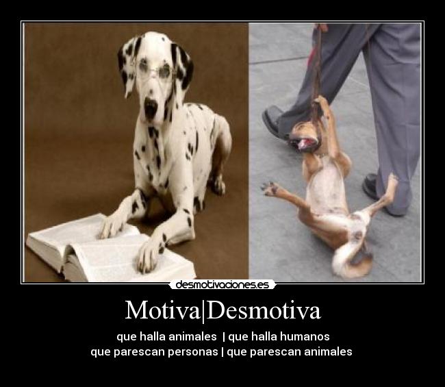 carteles maltrato animal perros malditos humanos desmotivaciones