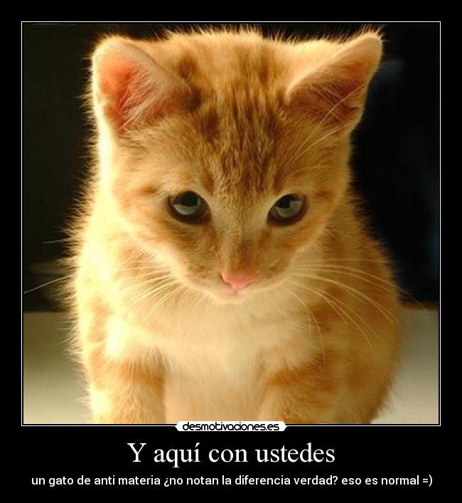 Y aquí con ustedes -