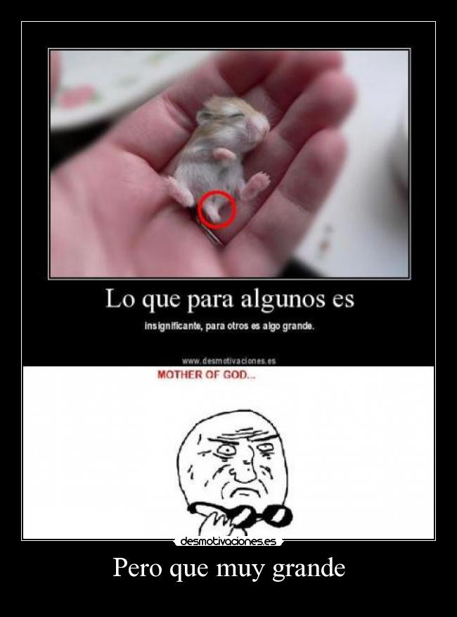 Pero que muy grande - 