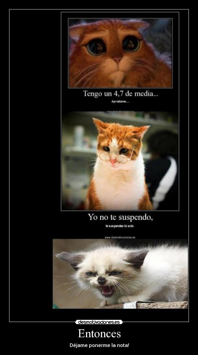Entonces - Déjame ponerme la nota!