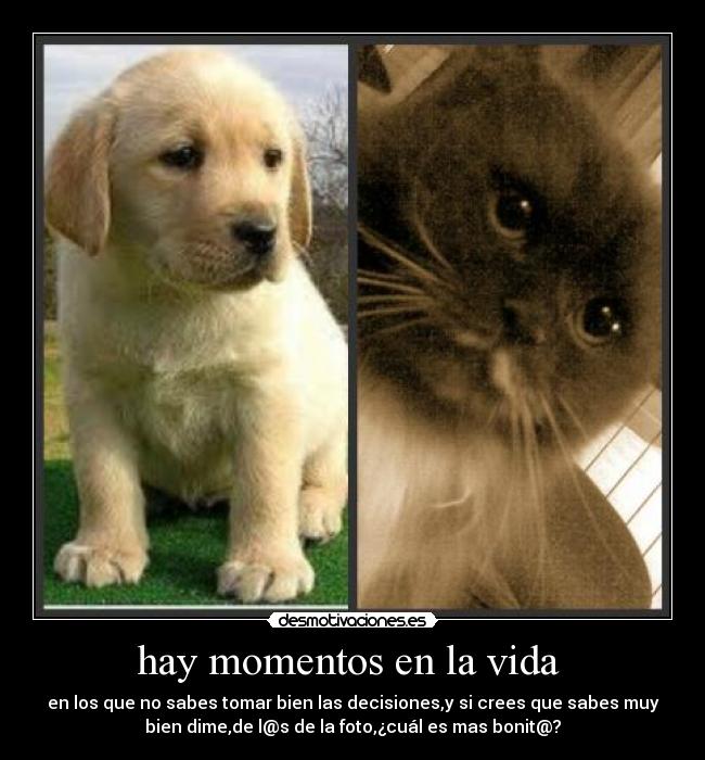 hay momentos en la vida -