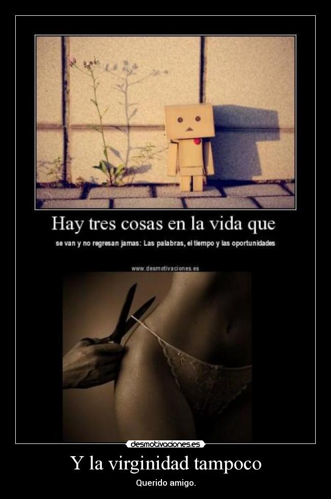 carteles virginidad desmotivaciones