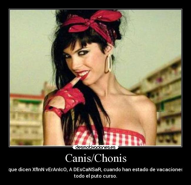 Canis/Chonis - que dicen XfInN vErAnIcO, A DEsCaNSaR, cuando han estado de vacaciones
todo el puto curso.