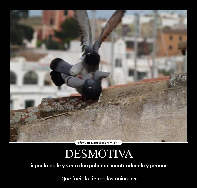 carteles desmotiva desmotivaciones