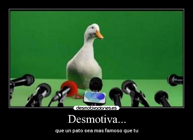 Desmotiva... - que un pato sea mas famoso que tu