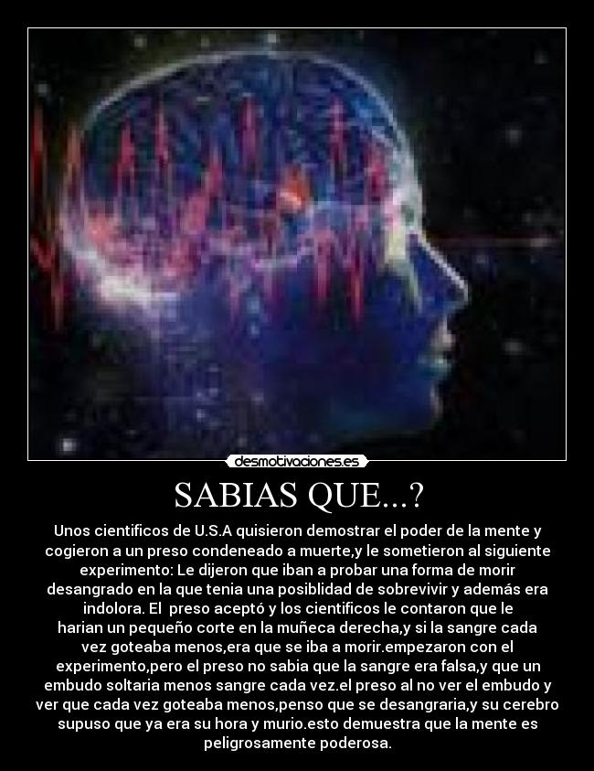 SABIAS QUE...? - 