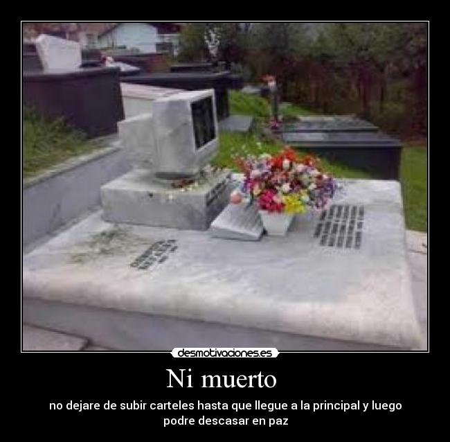 Ni muerto -