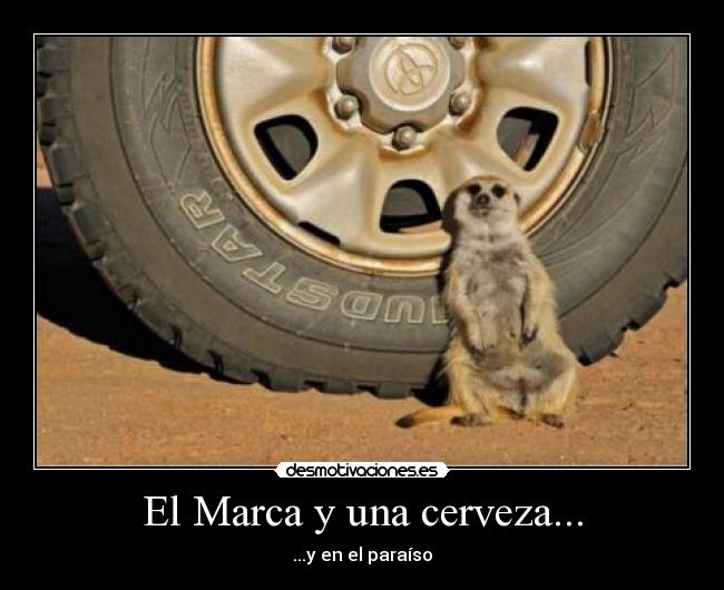 El Marca y una cerveza... - ...y en el paraíso