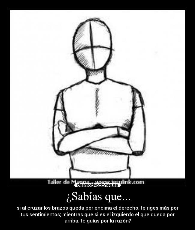 ¿Sabías que... - si al cruzar los brazos queda por encima el derecho, te riges más por
tus sentimientos; mientras que si es el izquierdo el que queda por
arriba, te guías por la razón?