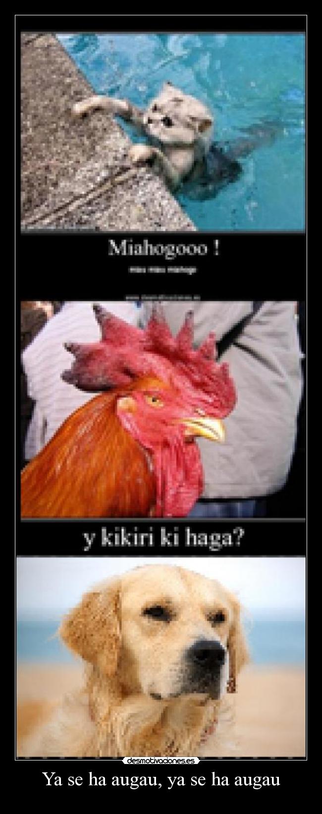 Ya se ha augau, ya se ha augau -