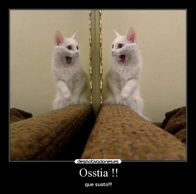 Osstia !! - 