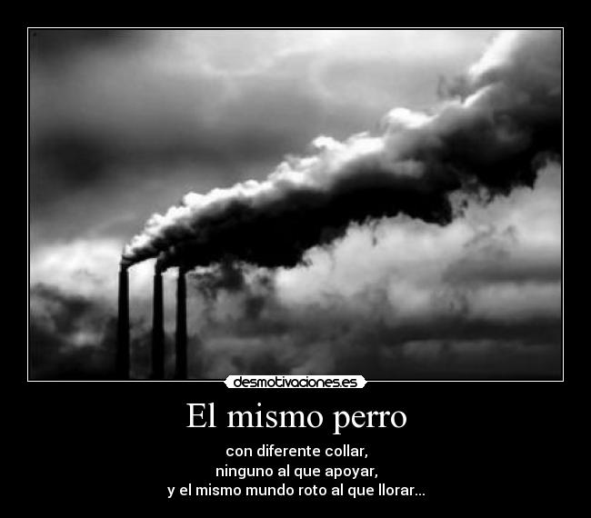 El mismo perro - con diferente collar,
ninguno al que apoyar,
y el mismo mundo roto al que llorar...