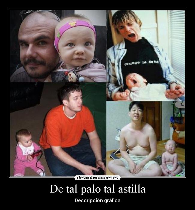 De tal palo tal astilla - Descripción gráfica