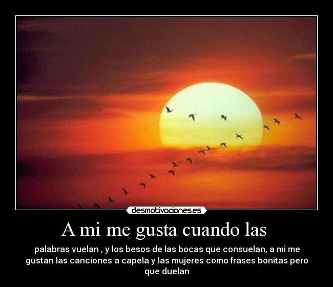 A mi me gusta cuando las - palabras vuelan , y los besos de las bocas que consuelan, a mi me
gustan las canciones a capela y las mujeres como frases bonitas pero
que duelan