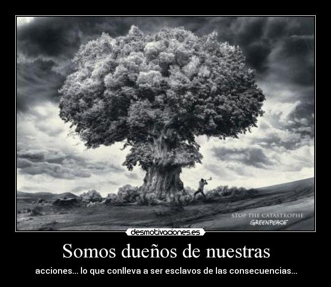 Somos dueños de nuestras -