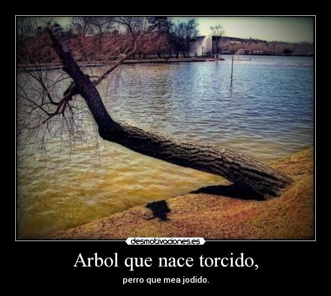 Arbol que nace torcido, - perro que mea jodido.