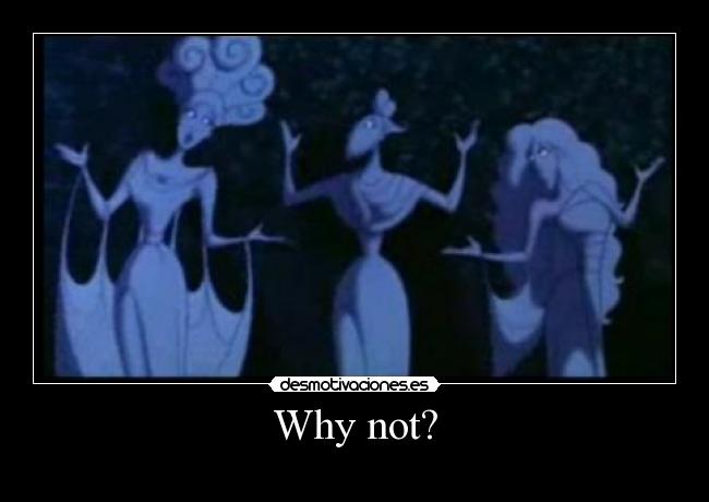 Why not? - 