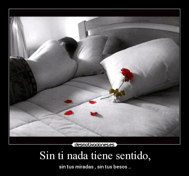 Sin ti nada tiene sentido, - sin tus miradas , sin tus besos ..