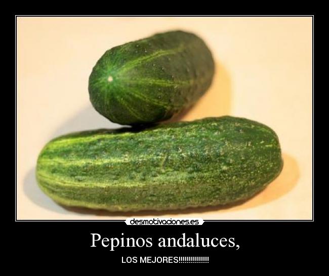 Pepinos andaluces, - LOS MEJORES!!!!!!!!!!!!!!!