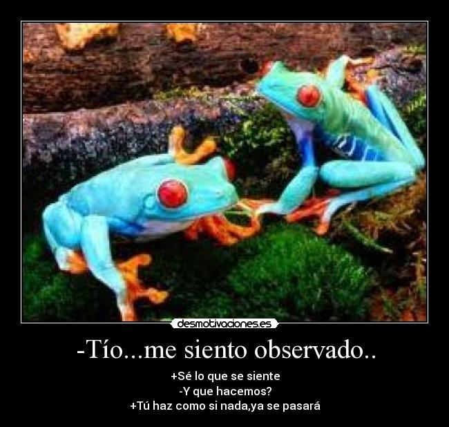 -Tío...me siento observado.. - +Sé lo que se siente
-Y que hacemos?
+Tú haz como si nada,ya se pasará