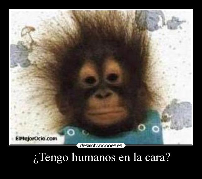 ¿Tengo humanos en la cara? -
