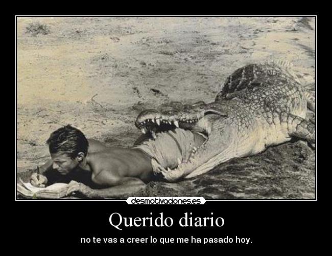 Querido diario - 