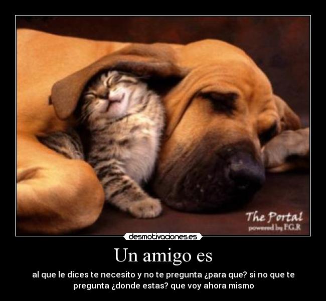 Un amigo es - al que le dices te necesito y no te pregunta ¿para que? si no que te
pregunta ¿donde estas? que voy ahora mismo