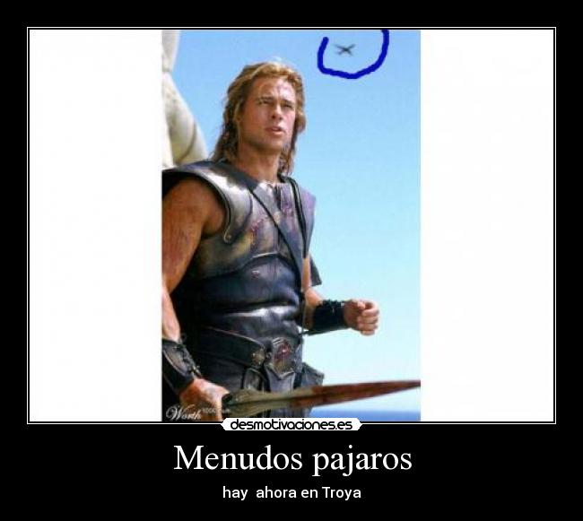 Menudos pajaros - hay ahora en Troya