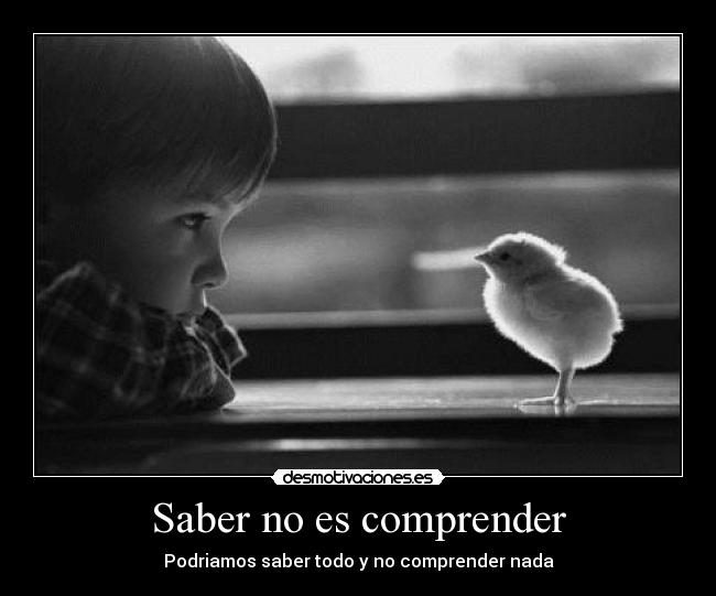 Saber no es comprender - Podriamos saber todo y no comprender nada