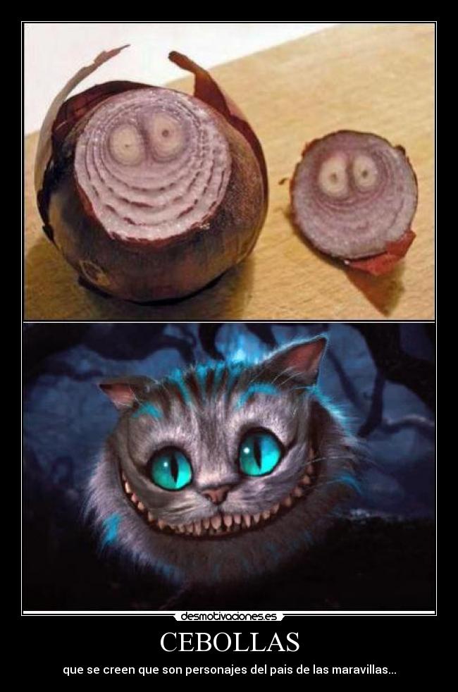CEBOLLAS - que se creen que son personajes del pais de las maravillas...