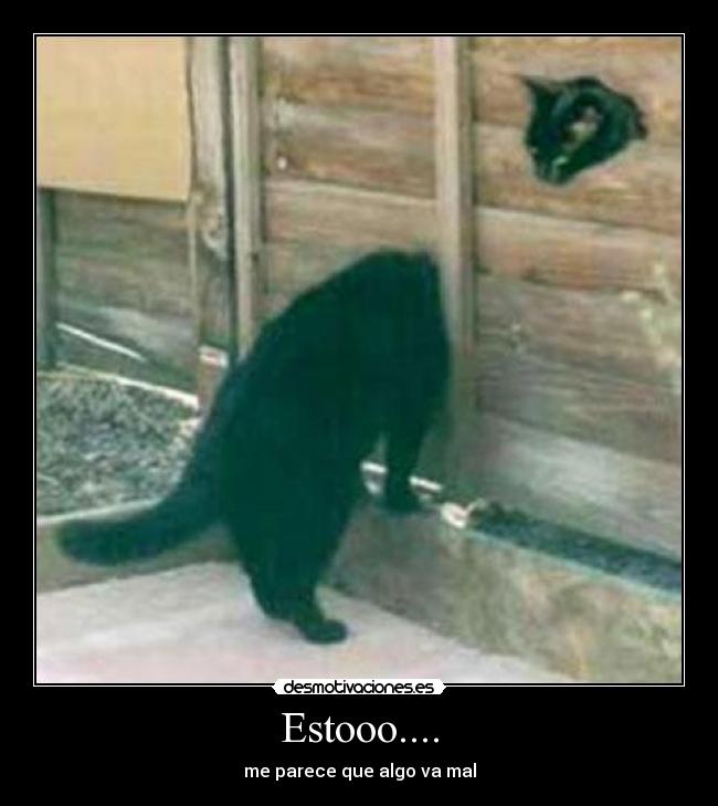 Estooo.... -
