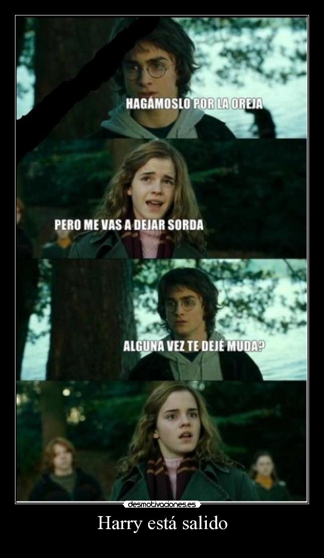 Harry está salido -