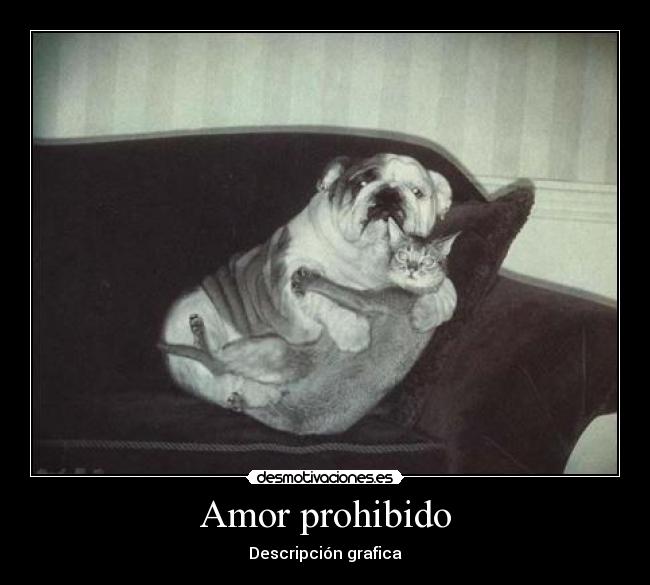 Amor prohibido -
