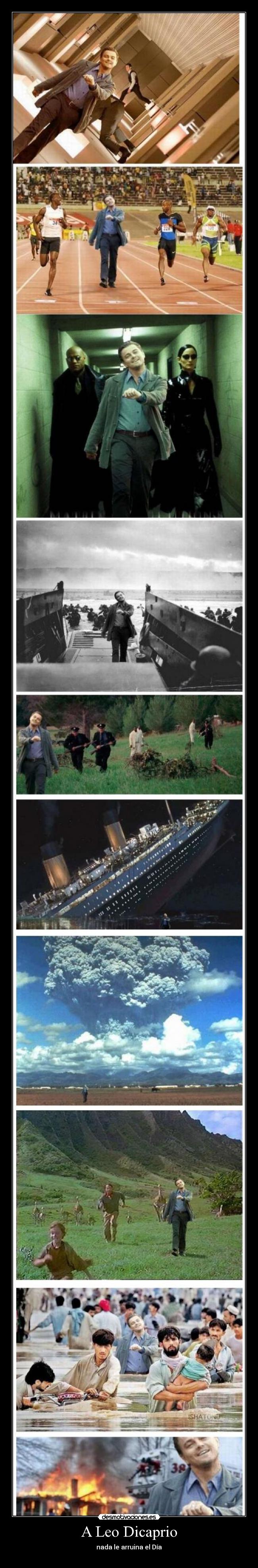carteles leo dicaprio nada arruina el dia desmotivaciones