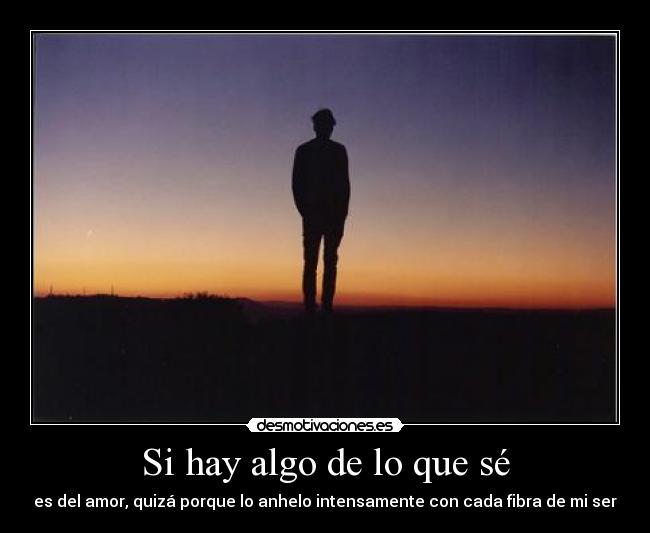 Si hay algo de lo que sé - es del amor, quizá porque lo anhelo intensamente con cada fibra de mi ser