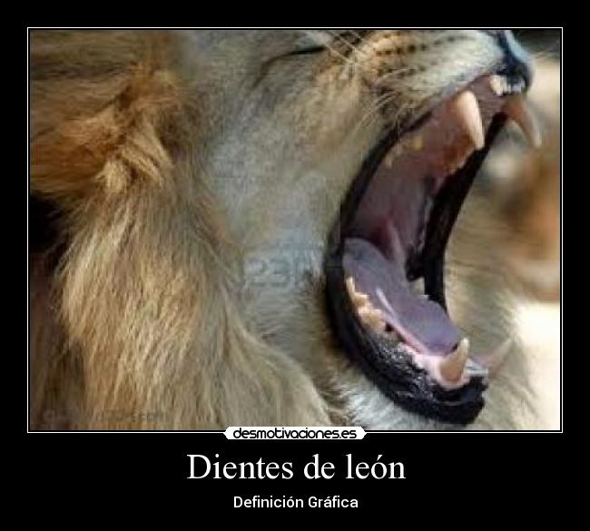 Dientes de león - Definición Gráfica