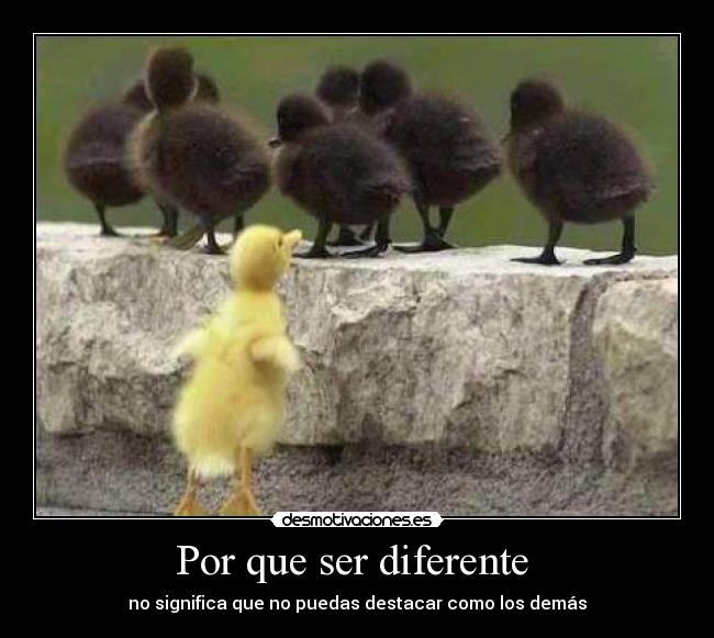 Por que ser diferente  - no significa que no puedas destacar como los demás