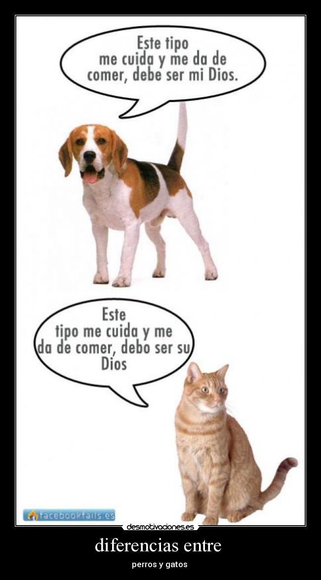 diferencias entre  - 