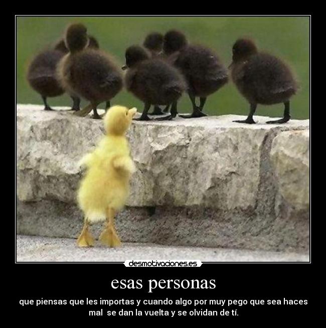 esas personas - que piensas que les importas y cuando algo por muy pego que sea haces
mal se dan la vuelta y se olvidan de tí.