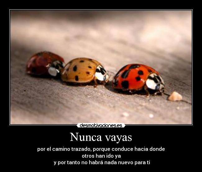 Nunca vayas -