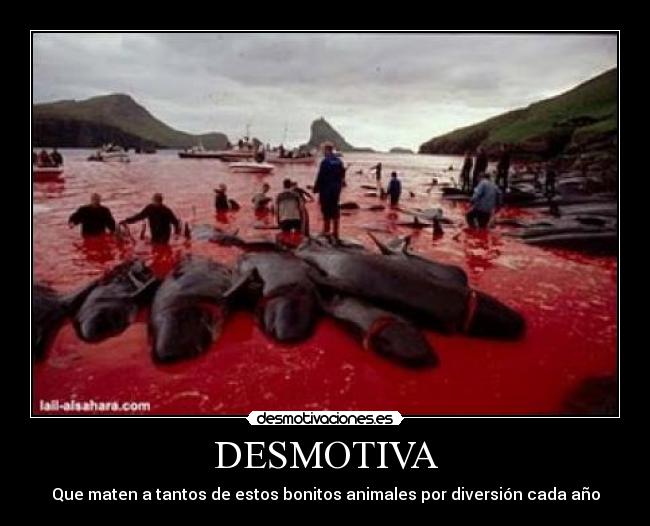 DESMOTIVA - Que maten a tantos de estos bonitos animales por diversión cada año