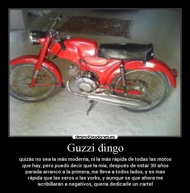 Guzzi dingo -