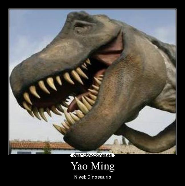 Yao Ming - Nivel: Dinosaurio