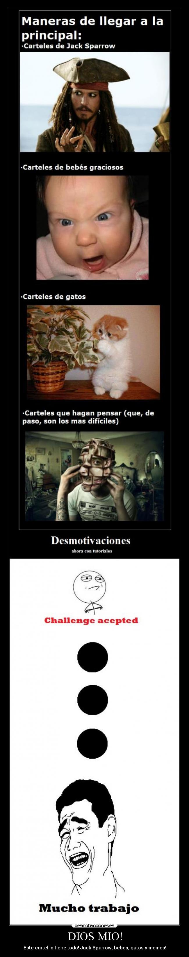 carteles dios memes jack sparrow bebes gatos tutos yao ming challenge acepted dios mio desmotivaciones