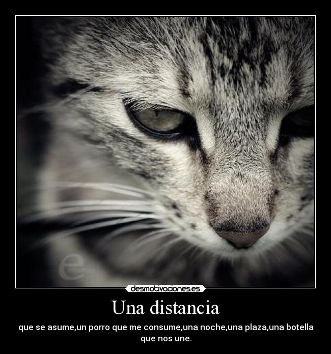 Una distancia -