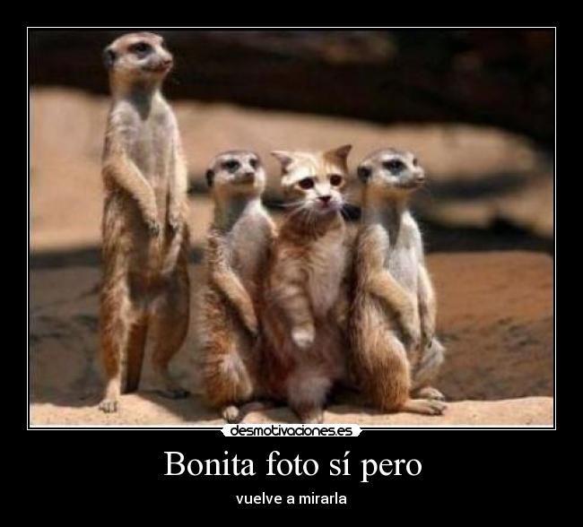 Bonita foto sí pero -
