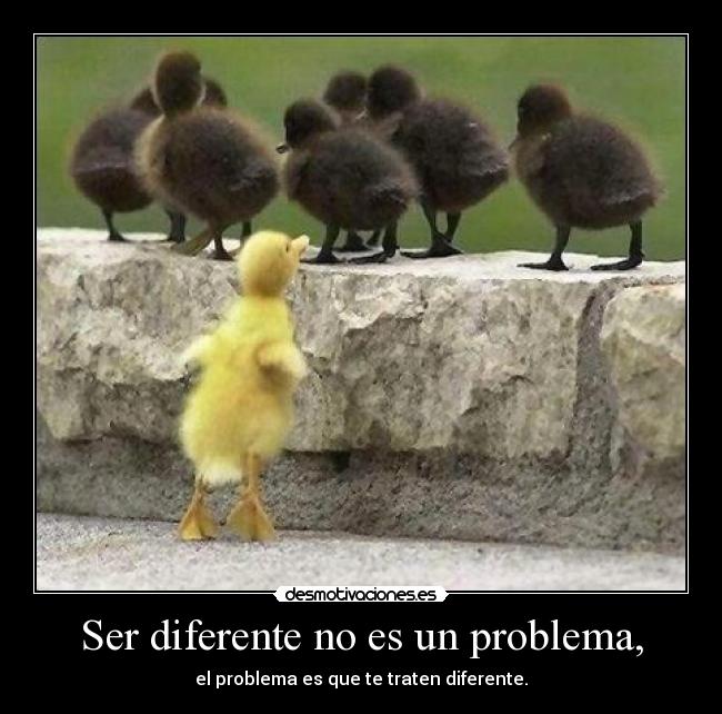 Ser diferente no es un problema, - el problema es que te traten diferente.